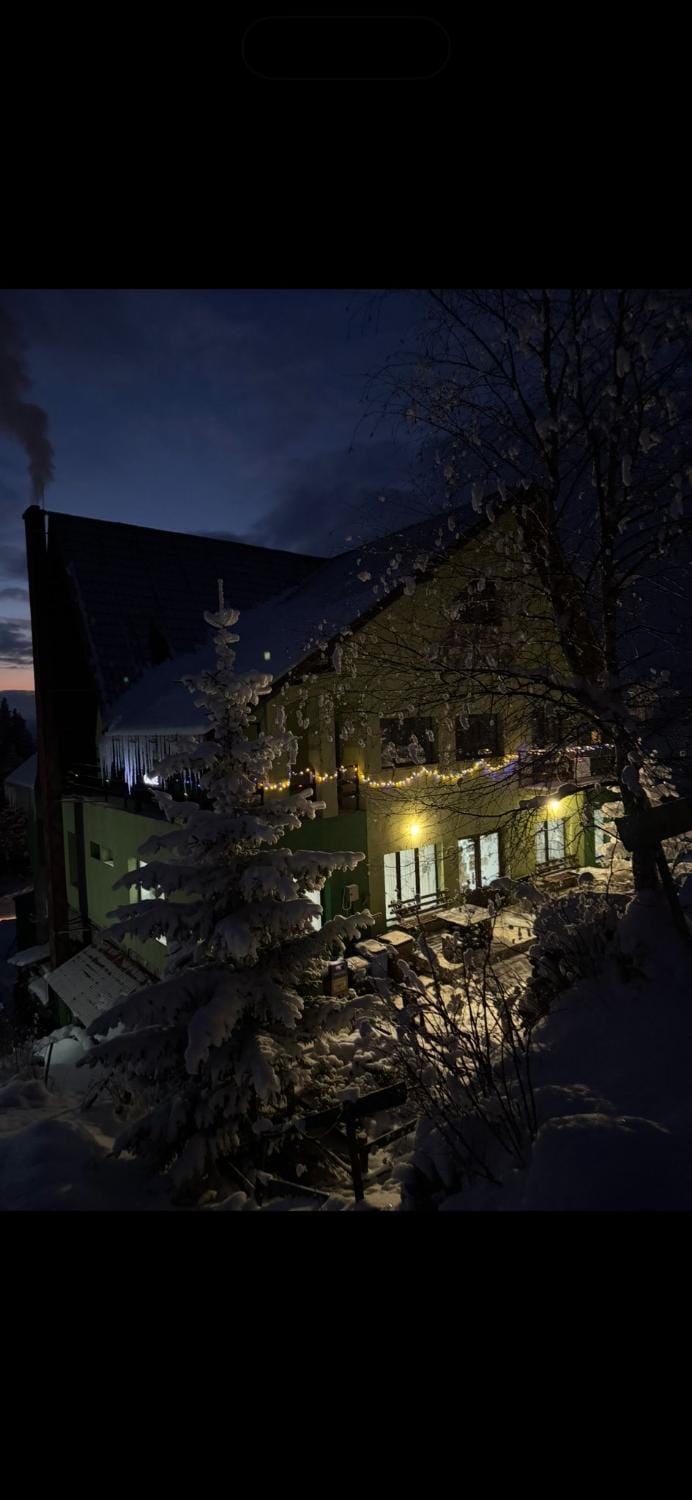 Cabana Gabriel Hotel in Romania
