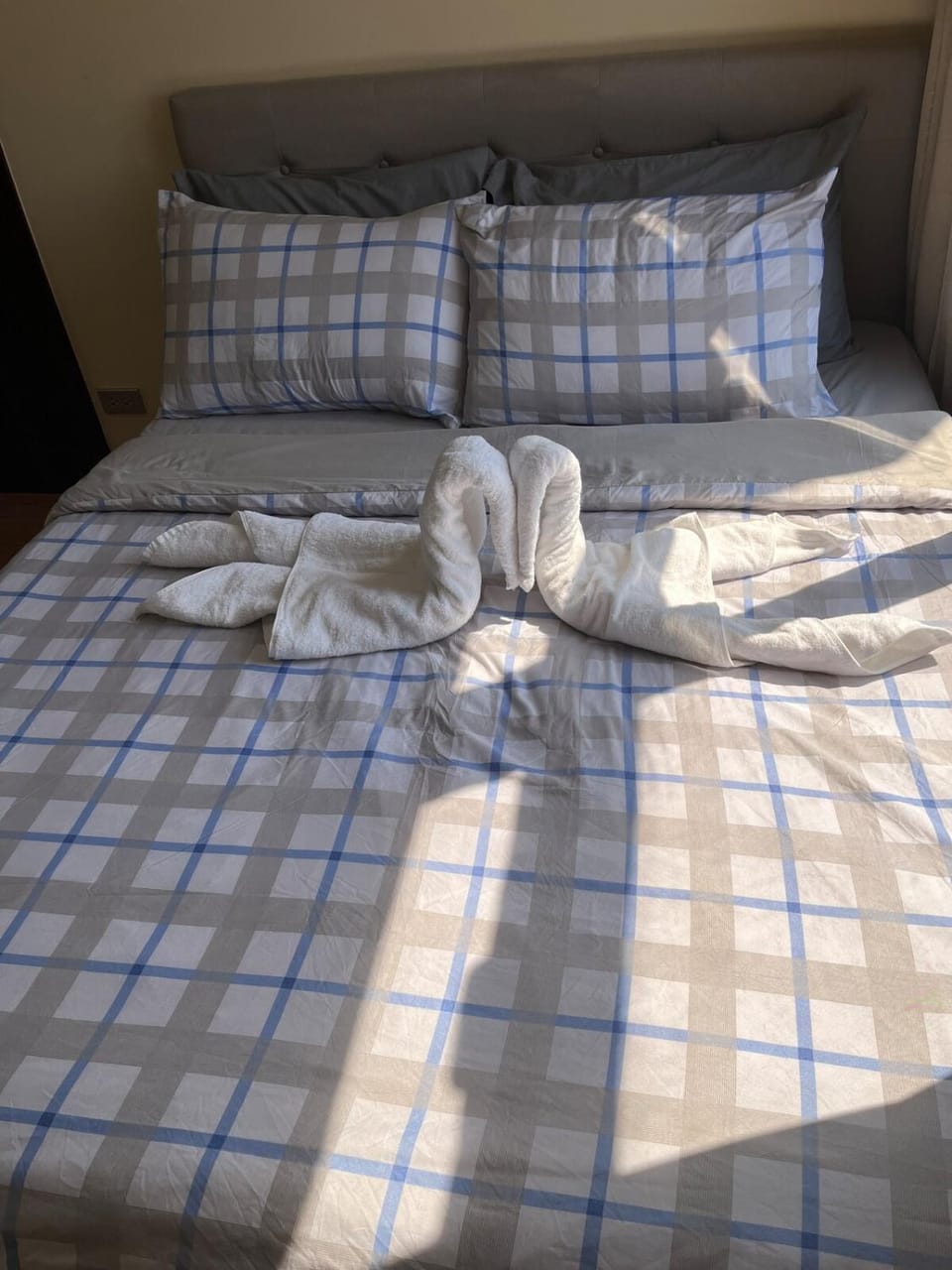 Bed, Photo of the whole room, Bedroom, towels