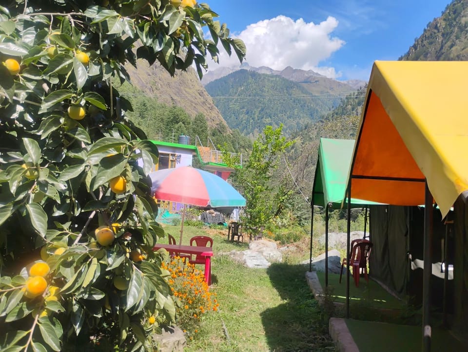 Welcome Cafe And Camps Luxury tent in Himachal Pradesh