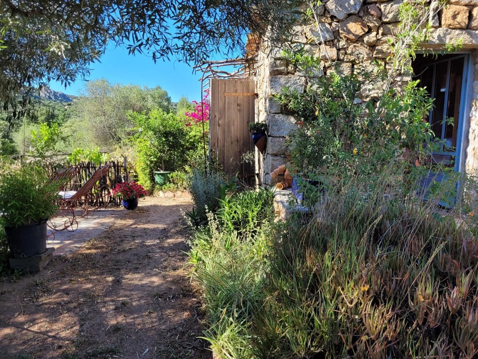 Patio, Patio