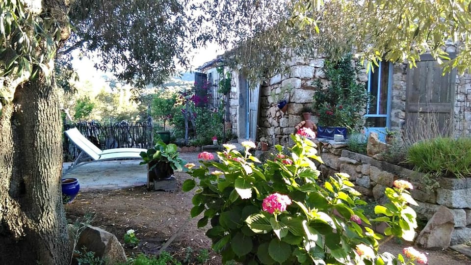 Patio, Garden, Balcony/Terrace