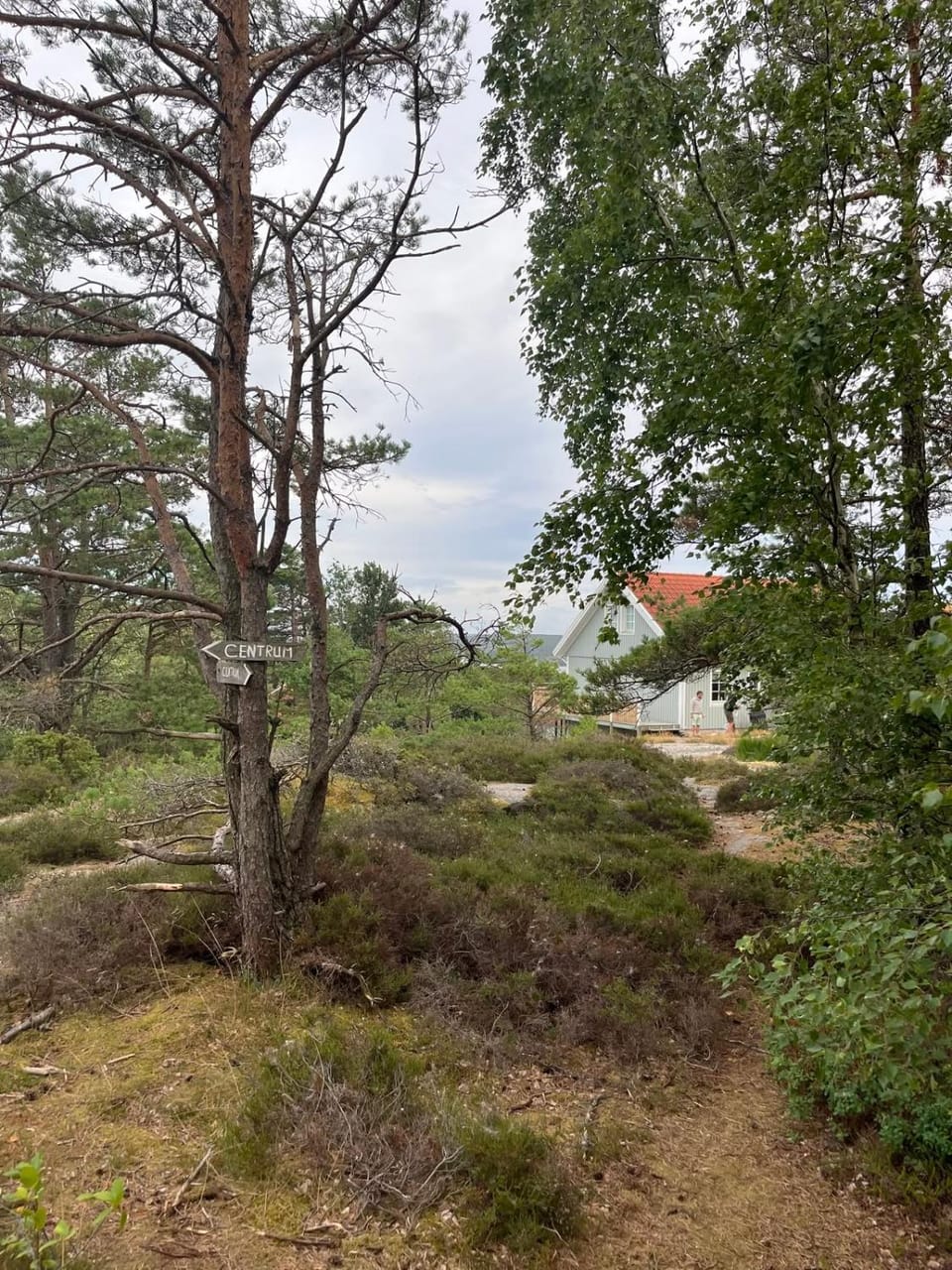 Property building, Natural landscape
