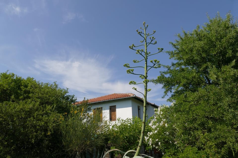Traditional Stonehouse House in Magnesia Prefecture, Greece