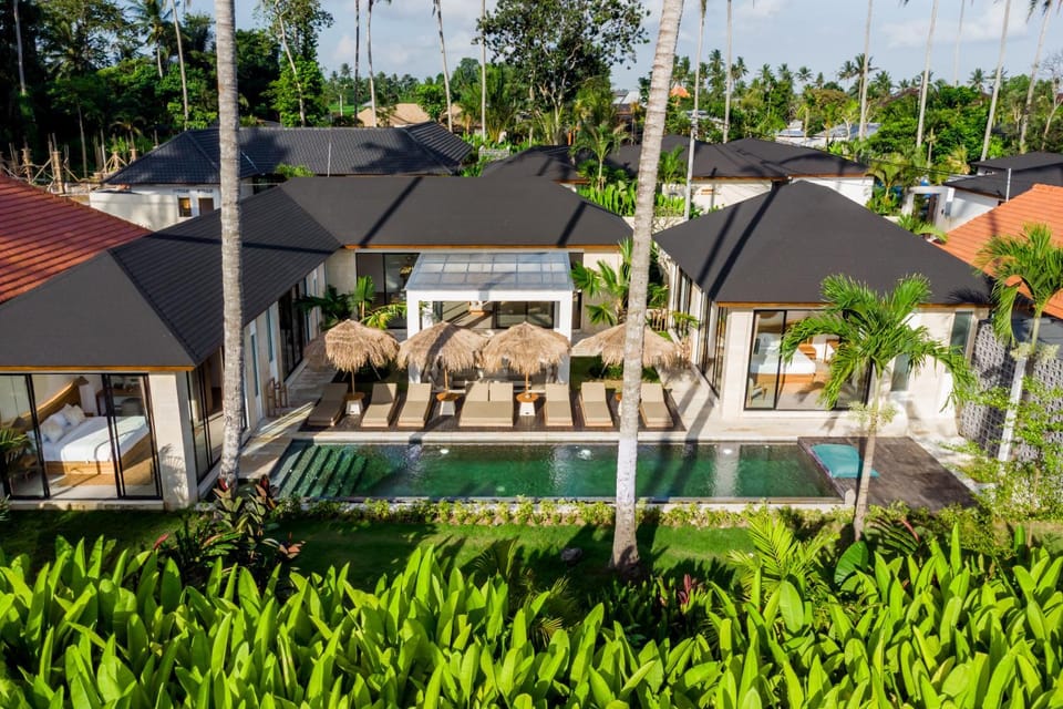 Property building, Garden, Swimming pool