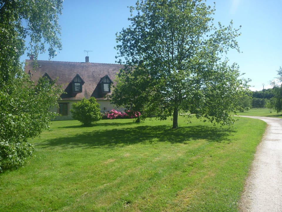 Property building, Facade/entrance, Garden, Garden view