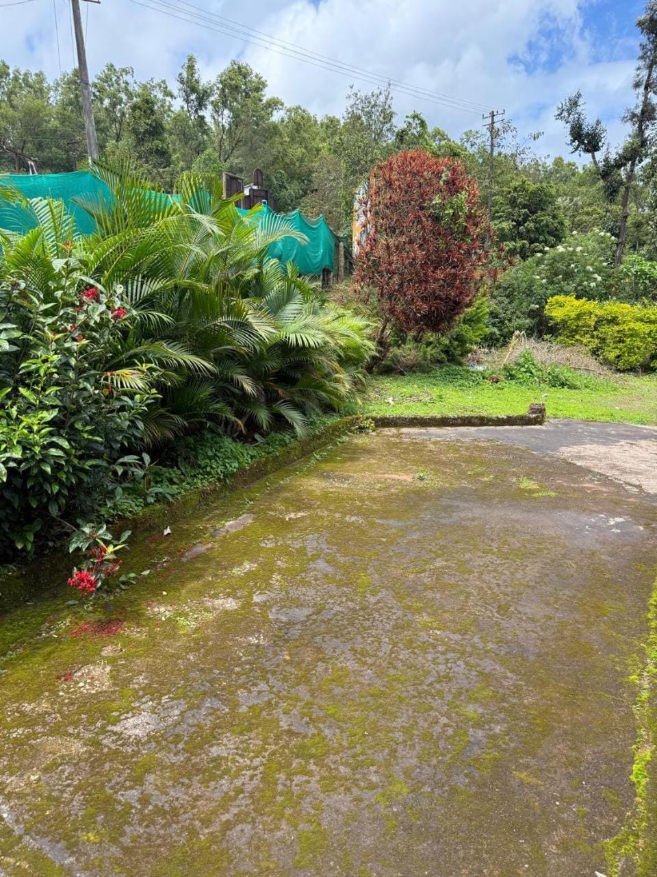 Coffee town homestay Villa in Karnataka