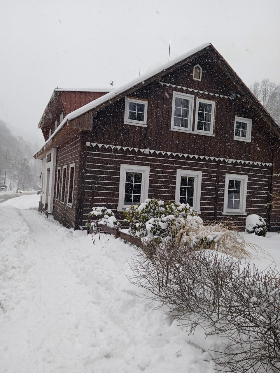 Winter