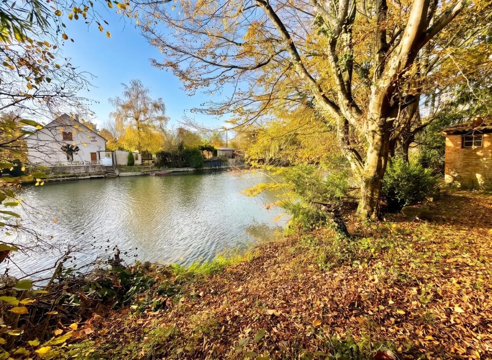 Lake view