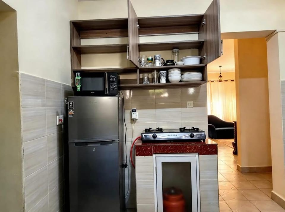 Kitchen or kitchenette, minibar, oven, toaster