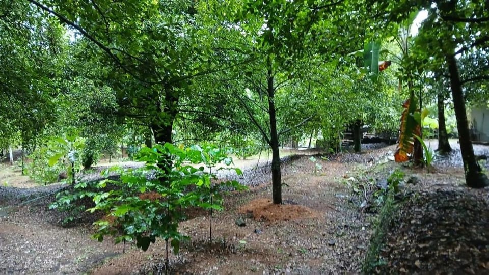 AnasthanathuMadom Heritage Home Farm Stay in Kerala