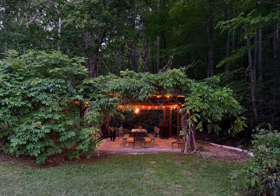 Blue Ridge Mountain Retreat - Close to AVL House in East Fork