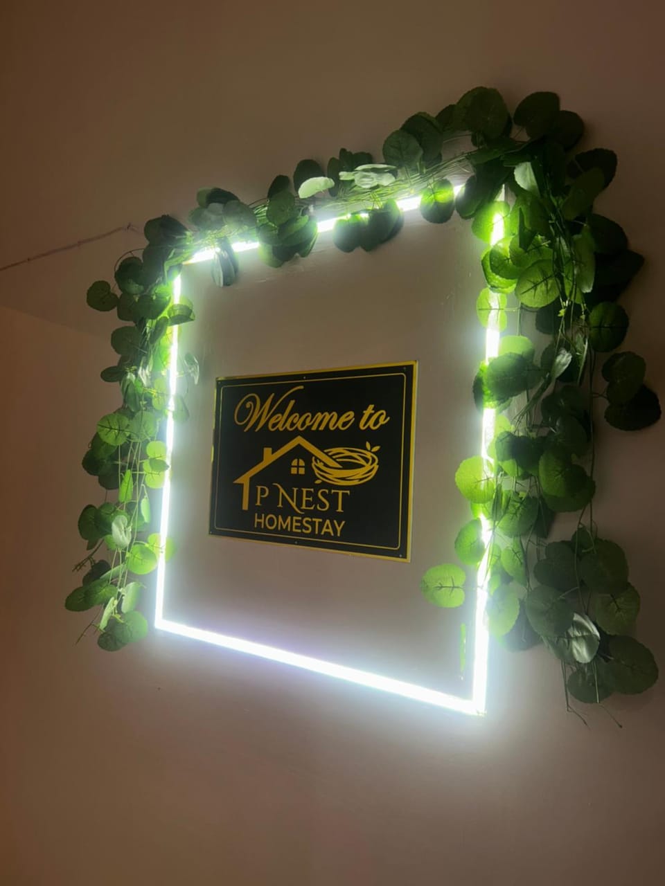 P NeST Homestay Apartment in India