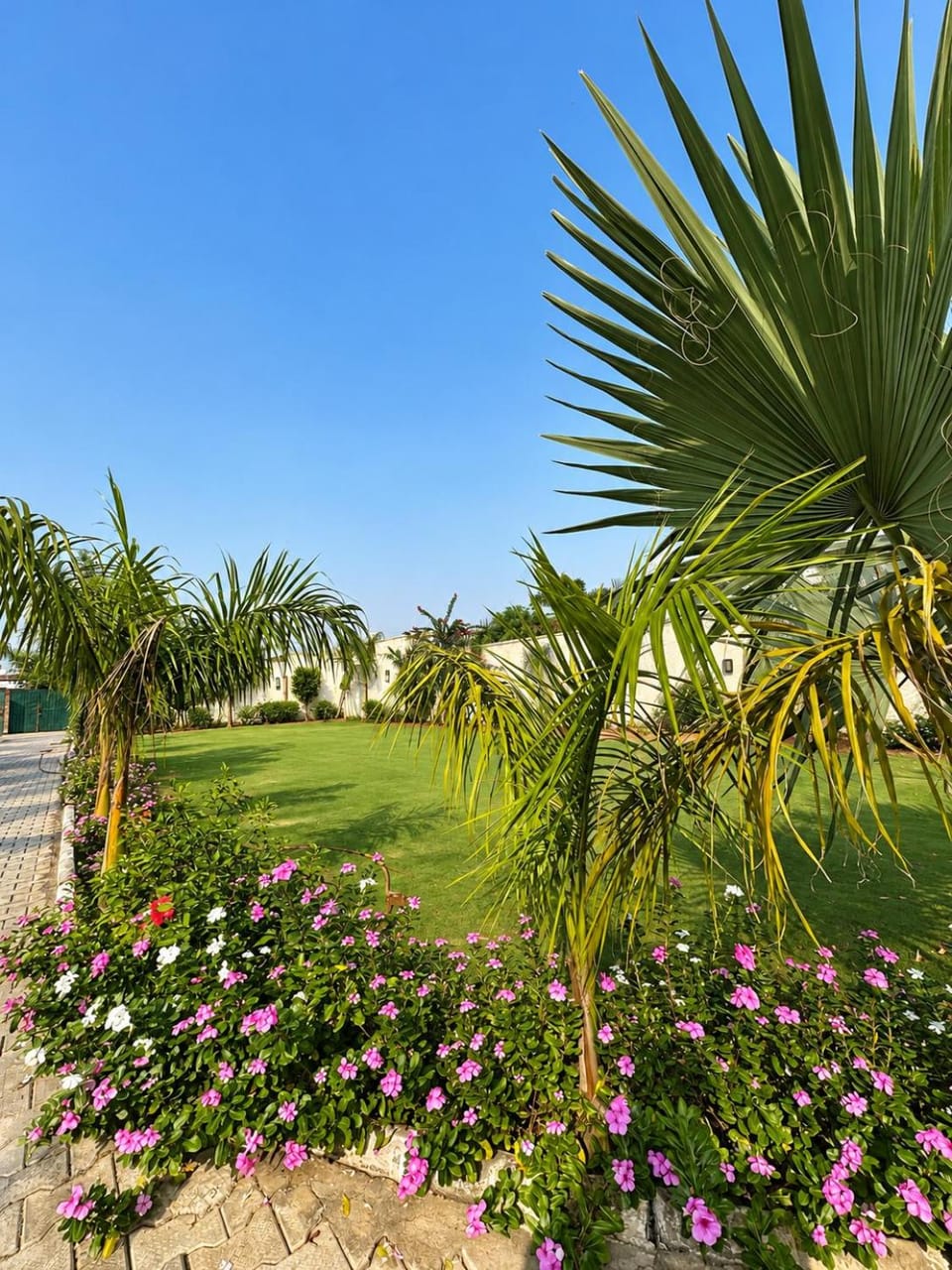 Day, Natural landscape, Garden, Garden view