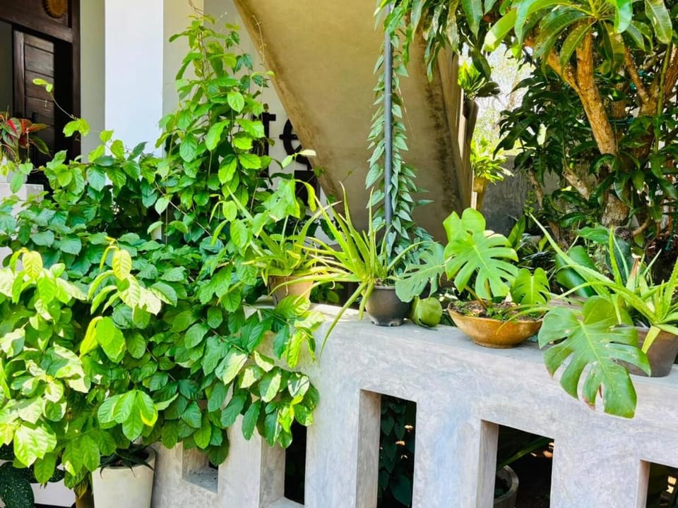 Grand Ma Green Villa Apartment in Southern Province