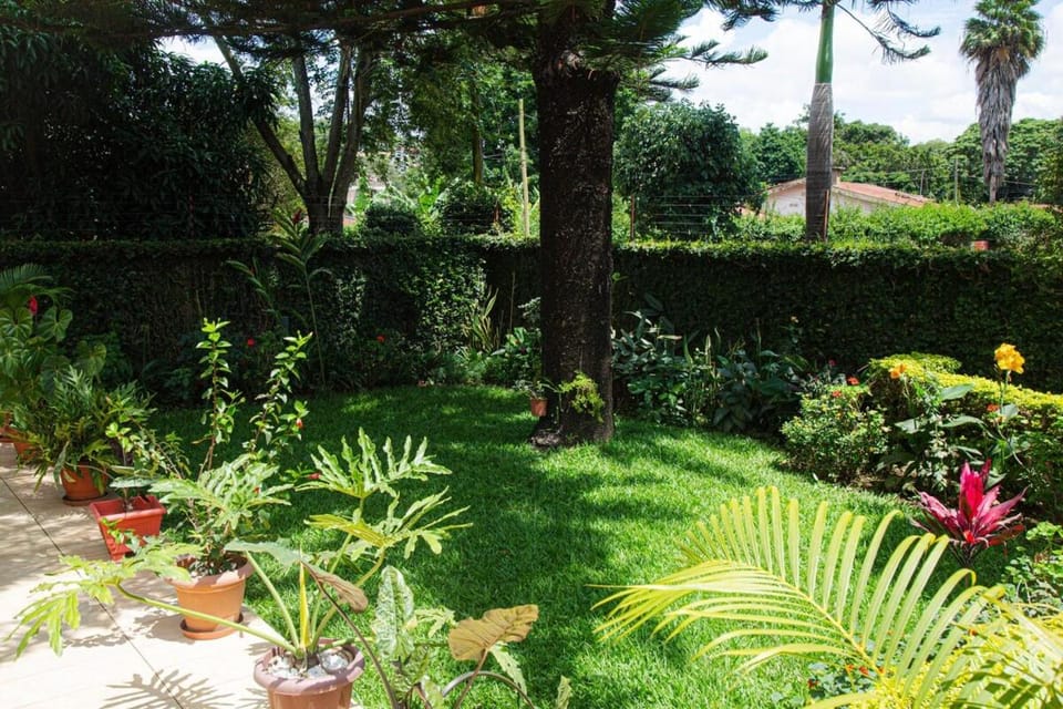 Casa Verde - Home, AC, Wi-Fi, Garden House in Arusha