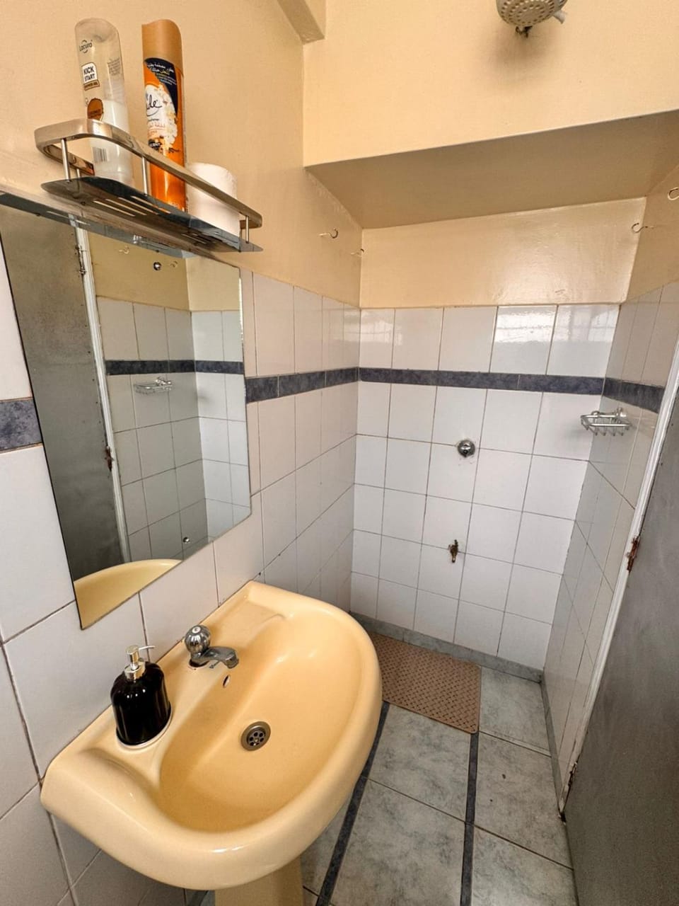 Studio Roysambu Thika Road Mall Apartment in Nairobi County