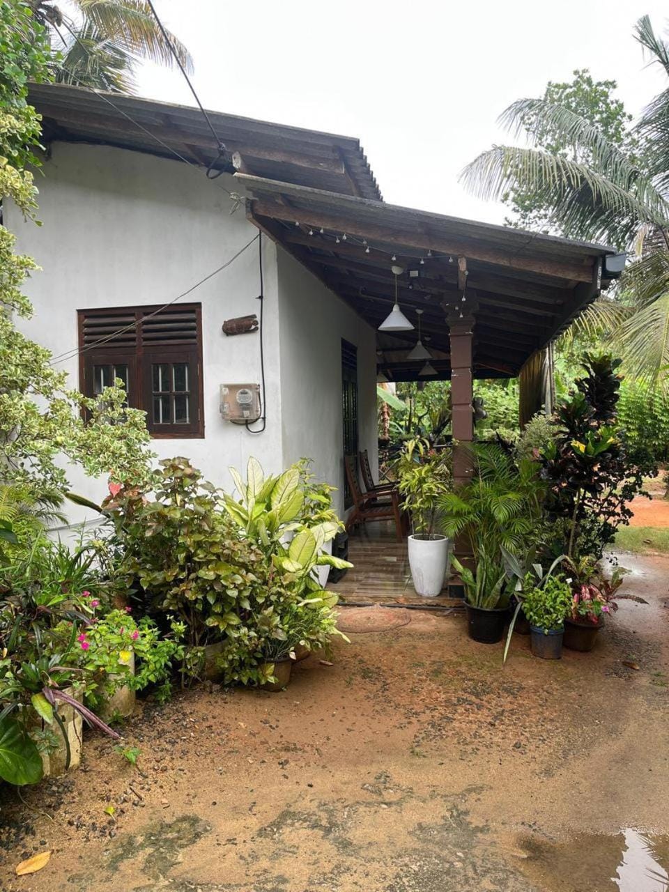 Thenu villa Narigama Bed and Breakfast in Hikkaduwa