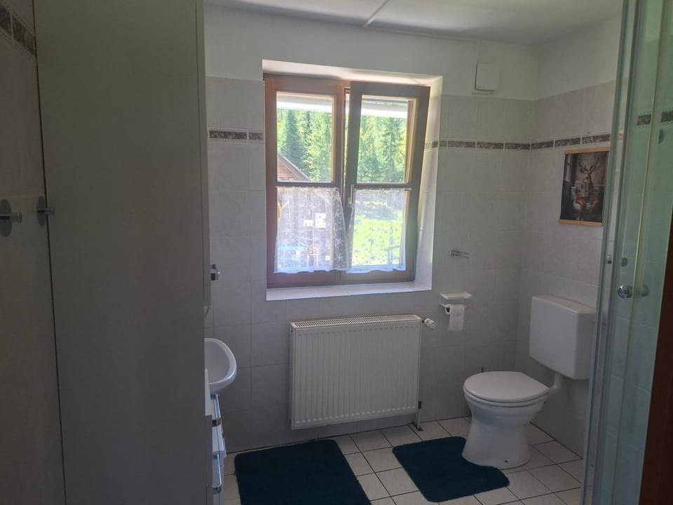 Grimming-Alpakas Apartment in Styria