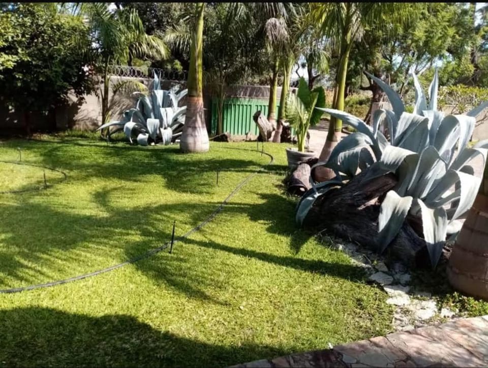Stallion Guest House Masvingo Bed and Breakfast in Zimbabwe
