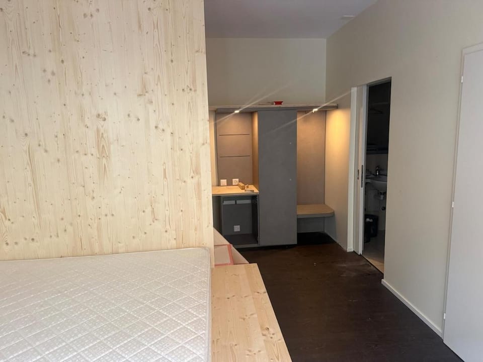 105-Central Family Group Room for 4 - Free Parking Apartment in Basel