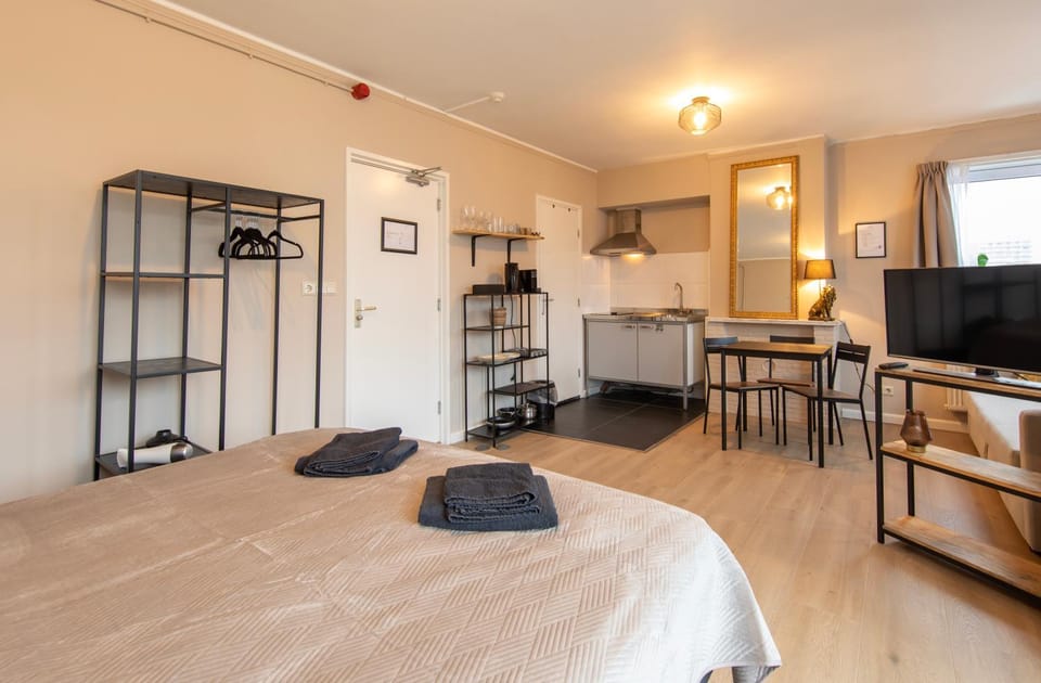 Bed, TV and multimedia, Kitchen or kitchenette, Photo of the whole room, Seating area, Dining area, Bedroom, hair dresser, towels