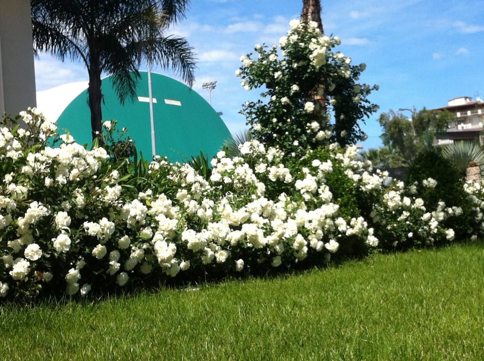 Day, Garden