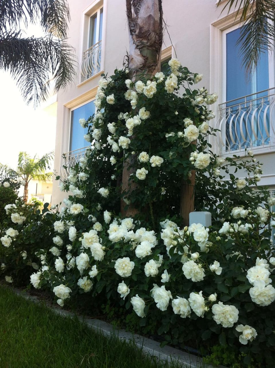 Decorative detail