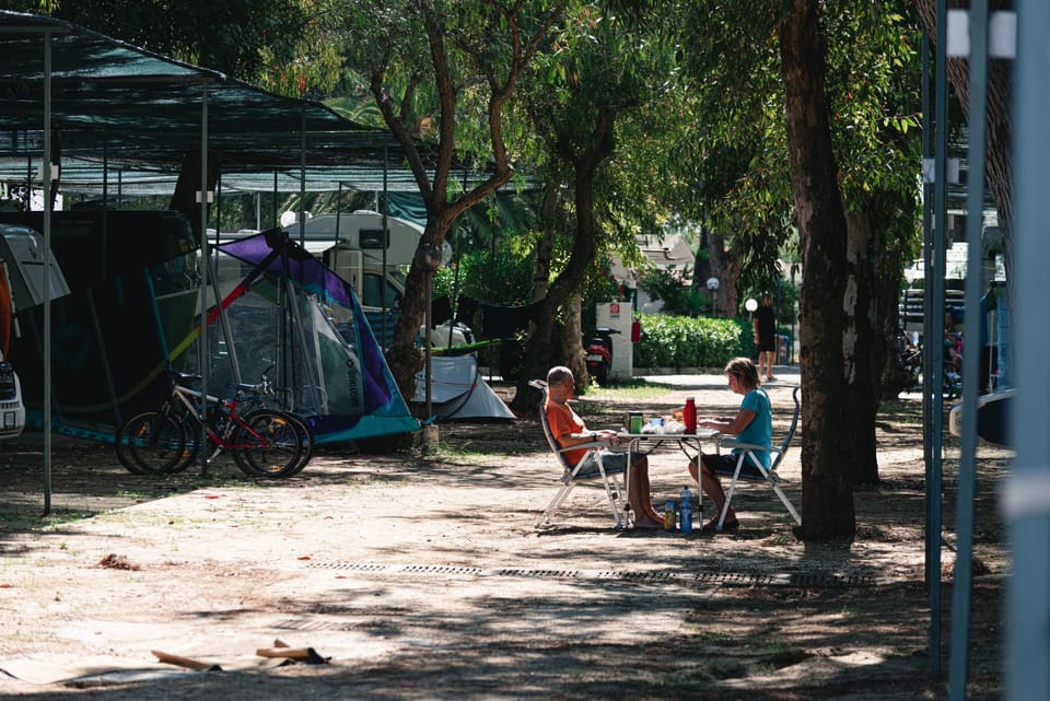 Natural landscape, group of guests