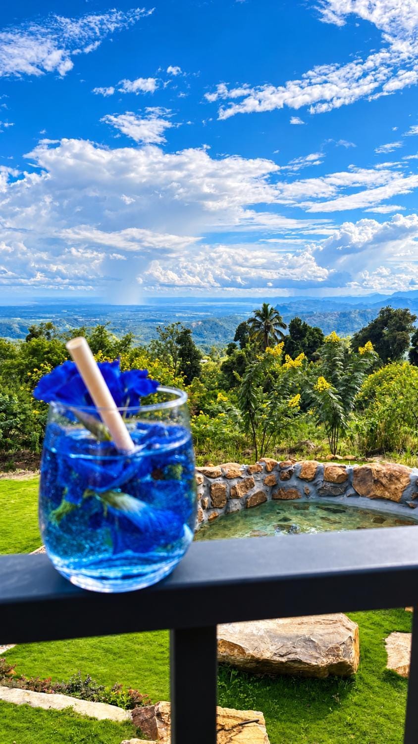 Natural landscape, Food and drinks, Food and drinks, Mountain view, Drinks, Drinks, Non alcoholic drinks, Non alcoholic drinks