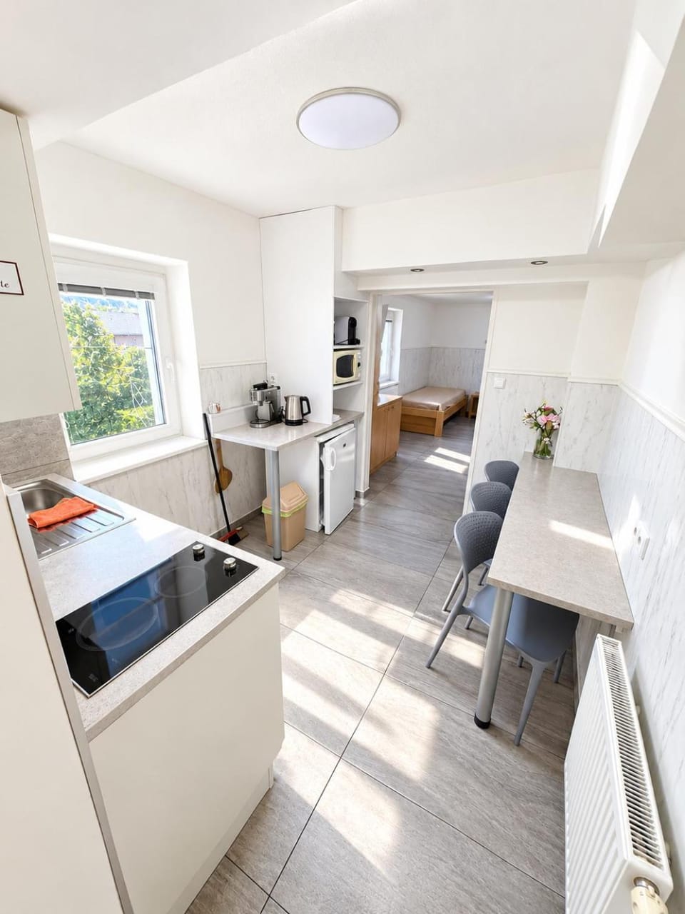 Kitchen or kitchenette