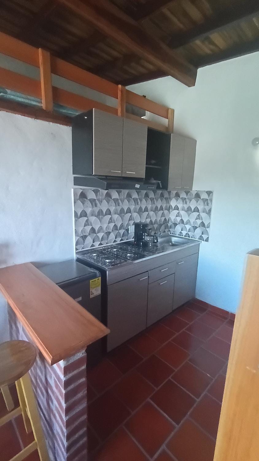 Kitchen or kitchenette, minibar, oven, pet friendly, stove
