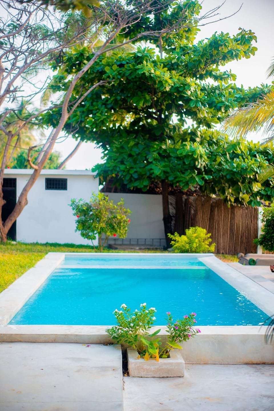 Home away from home Apartment in Tanzania