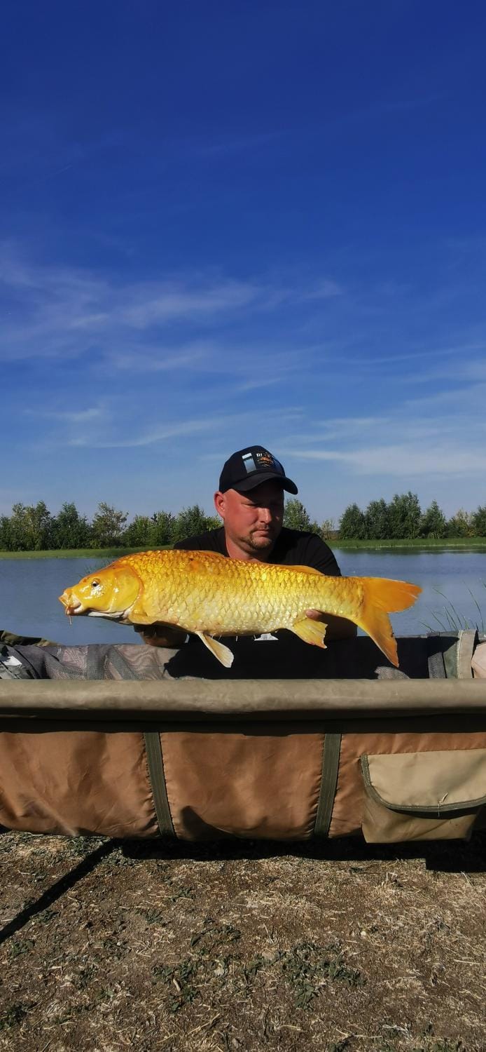 Natural landscape, Activities, Fishing, Fishing, Lake view, Sports