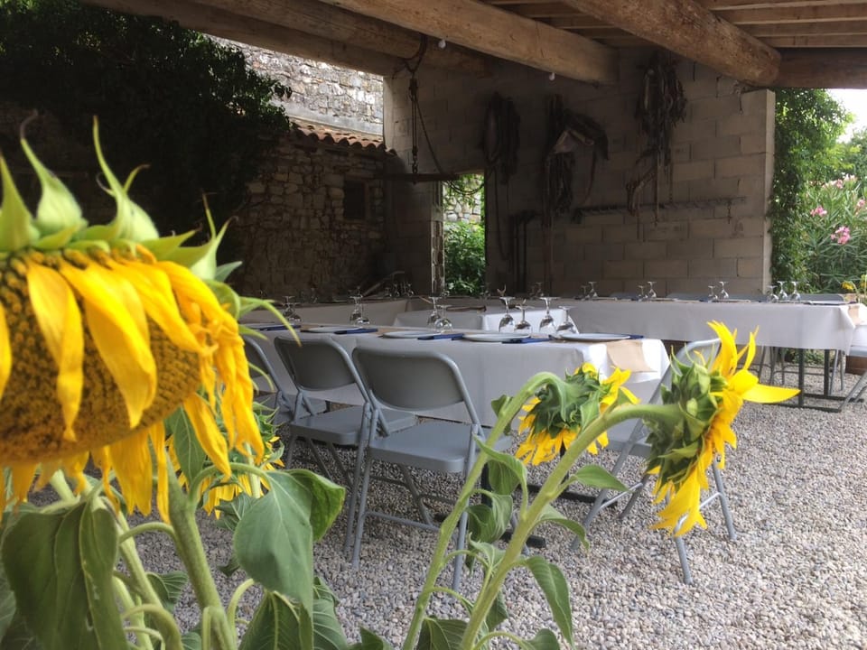 Restaurant/places to eat, Garden view