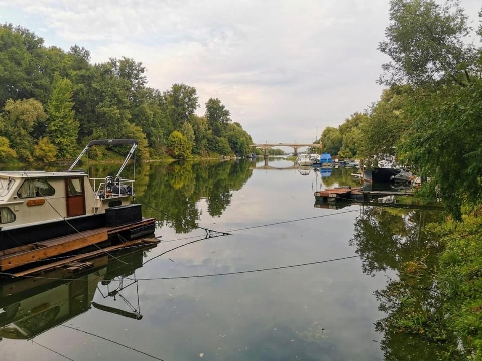 Natural landscape, River view