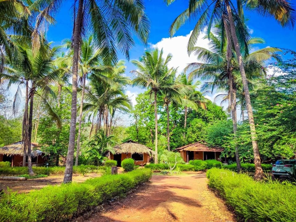 Natural landscape, View (from property/room), Garden view