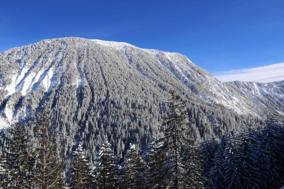 Mountain view
