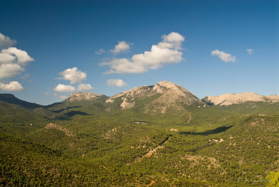 Hiking, Cycling, Sports