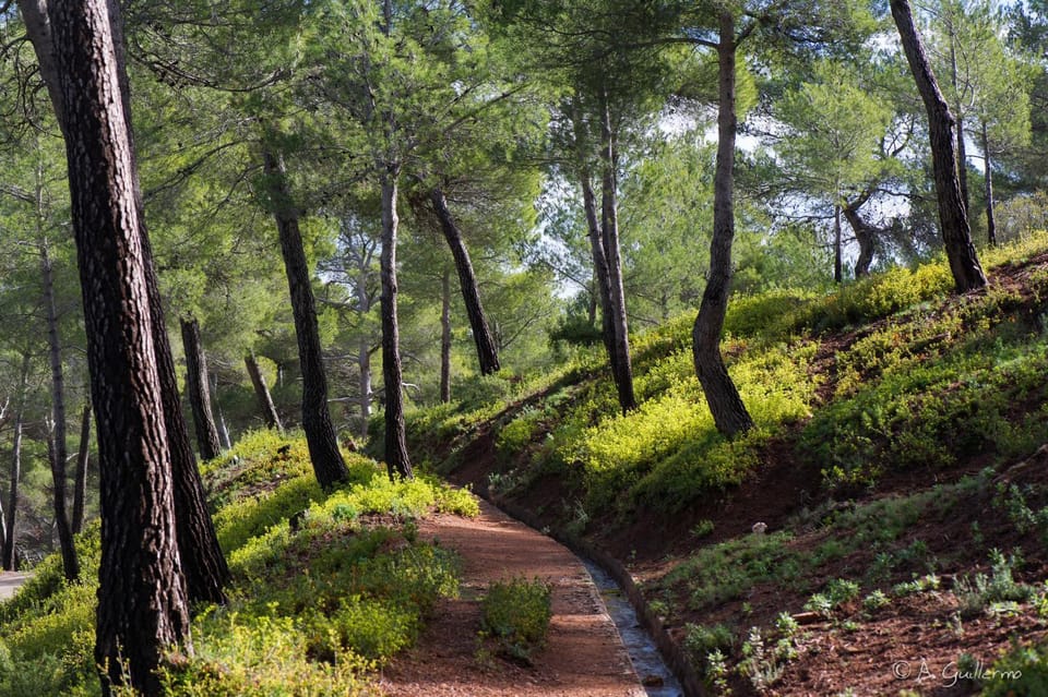 Hiking, Cycling, Sports
