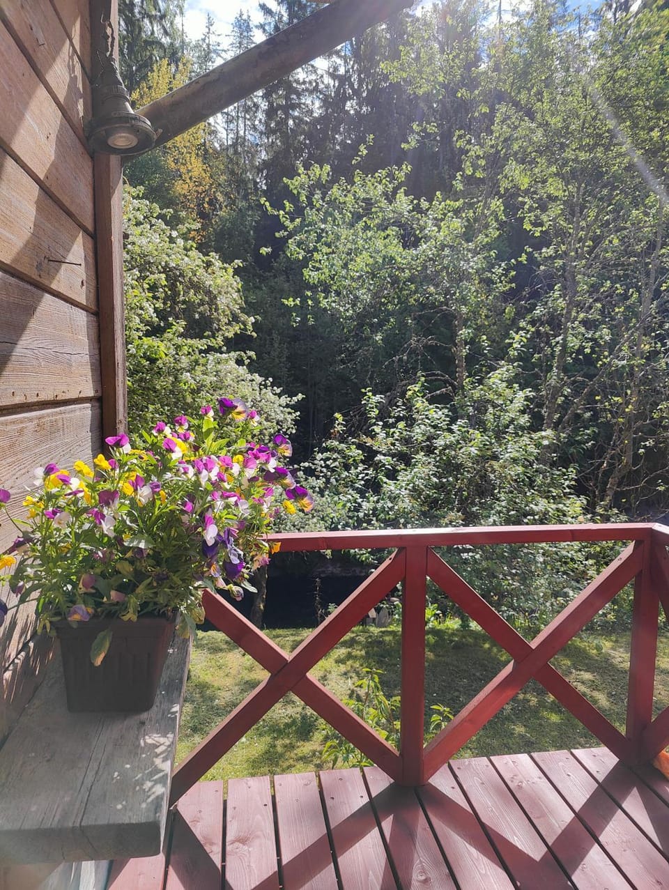 Viesu Nams Vilhelmīne Bed and Breakfast in Latvia