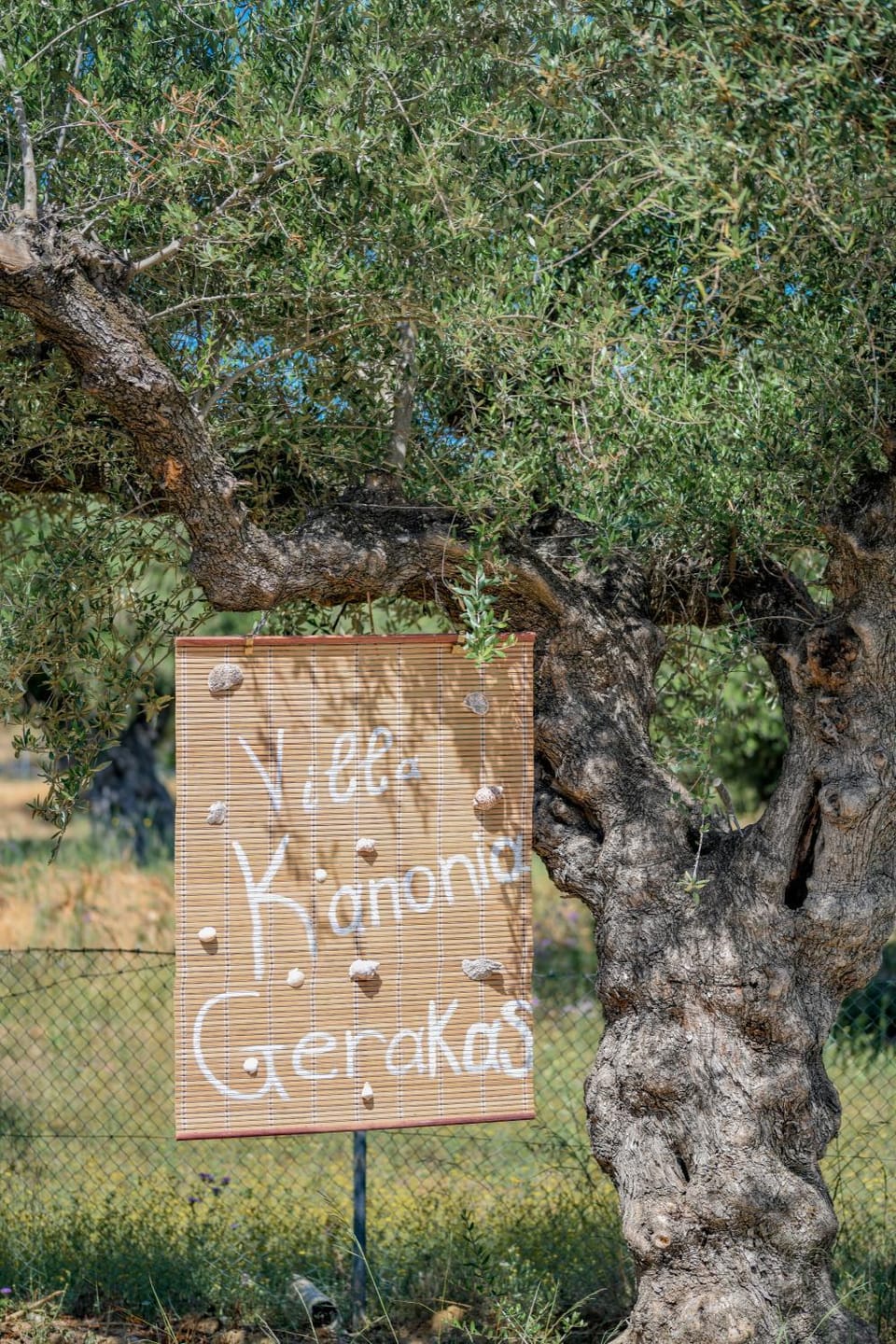 Villa Kanonia Gerakas Villa in Zakynthos, Greece