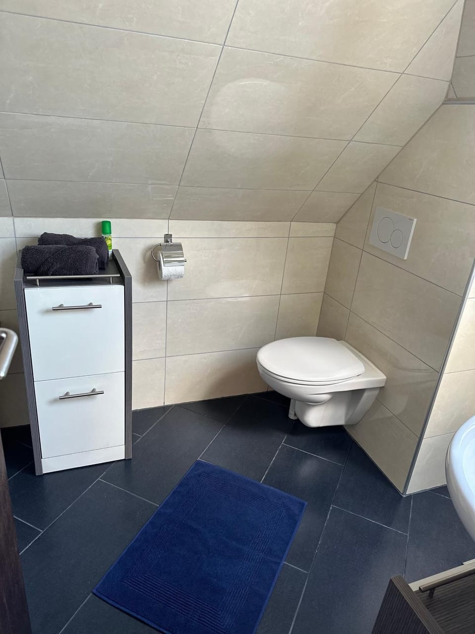 Bathroom, Living room