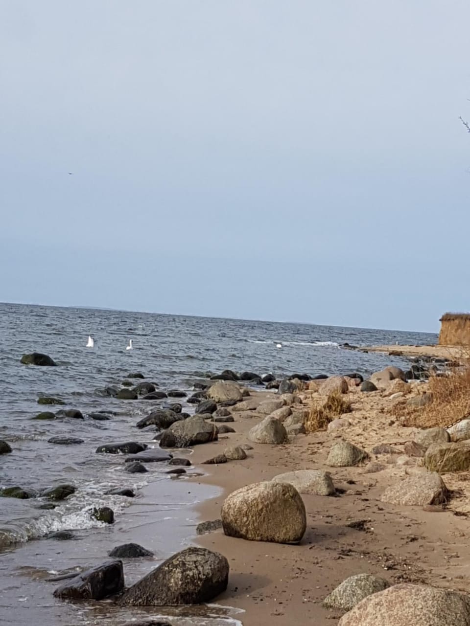 Natural landscape