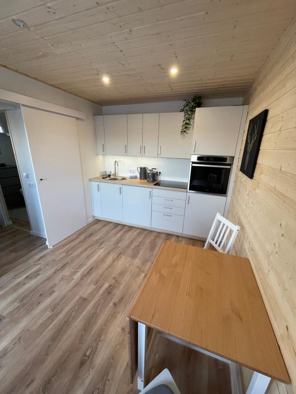 Kitchen or kitchenette, Dining area, oven, stove