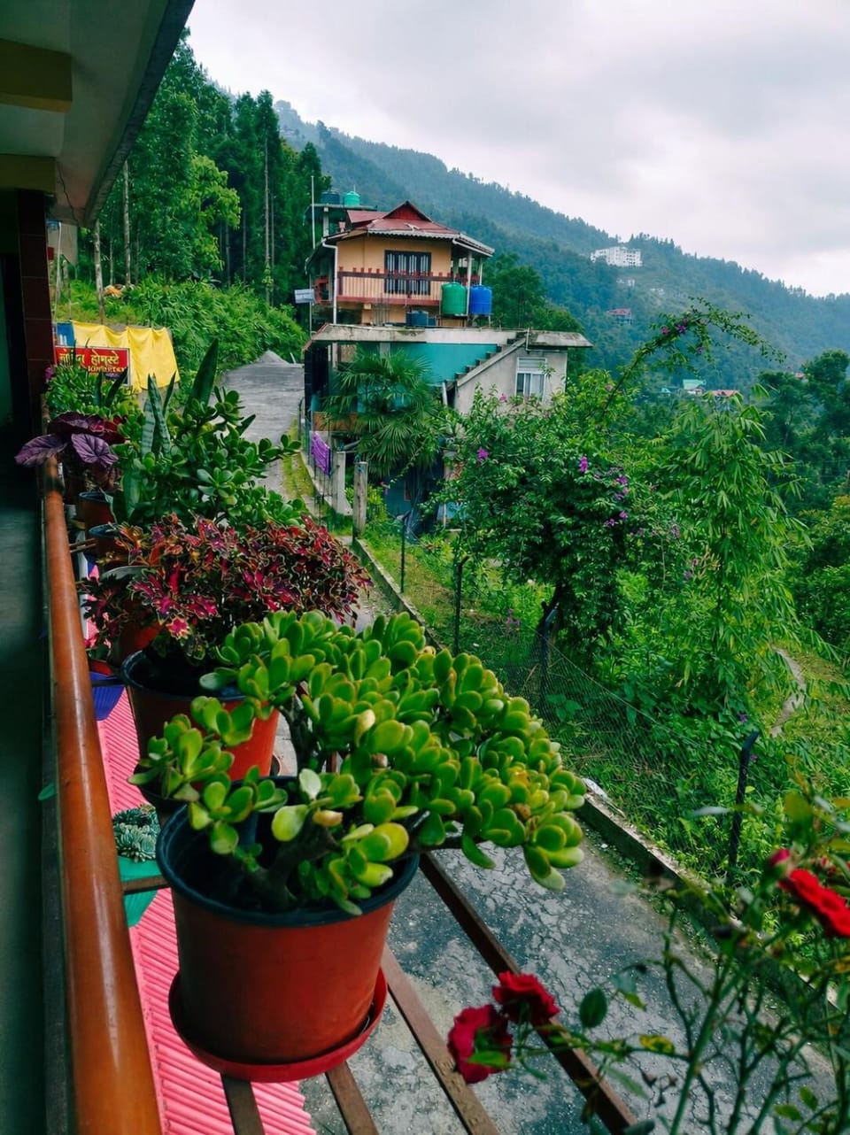 Norden Homestay Vacation rental in West Bengal
