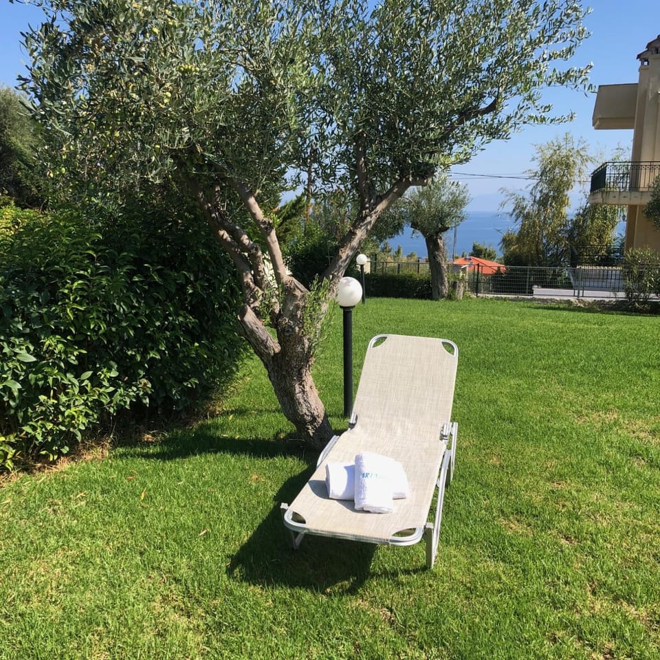 Spring, Day, Natural landscape, Garden, Garden, Garden view, sunbed