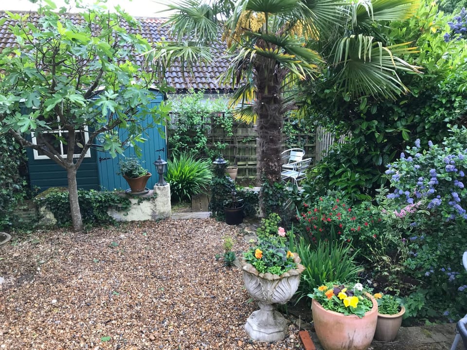 View (from property/room)