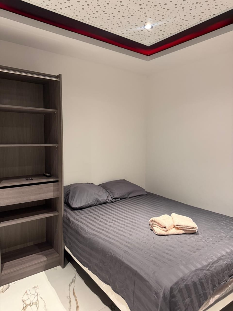 sublime luxe T4 Apartment in Auvergne-Rhône-Alpes