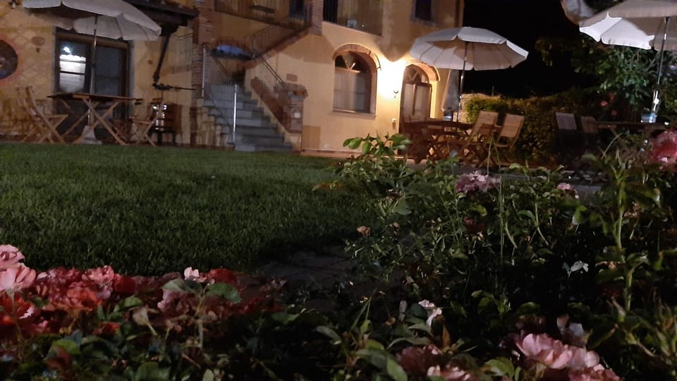 Property building, Spring, Night, Garden, Garden view