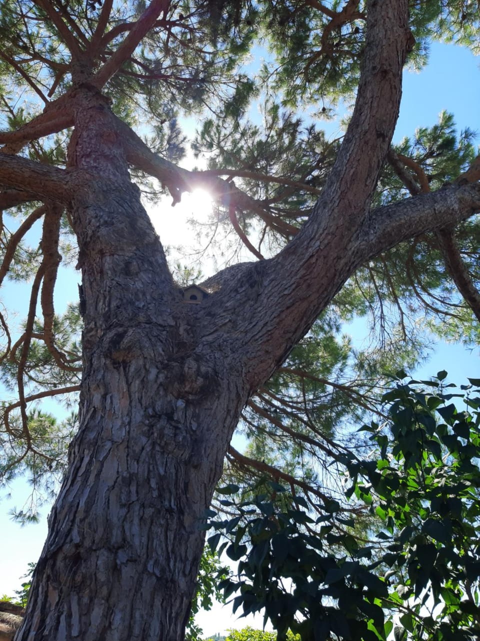 Il Gelso Farm Stay in Tuscany